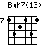 BmM7(13)