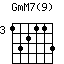 GmM7(9)